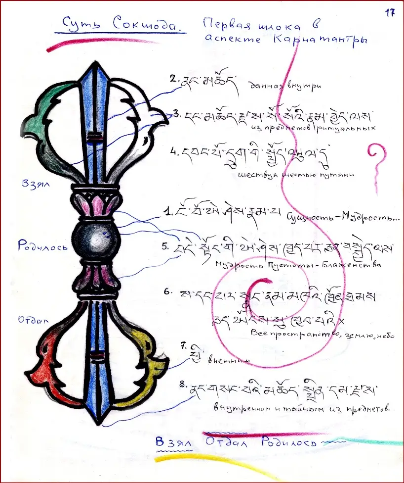 Суть согшода